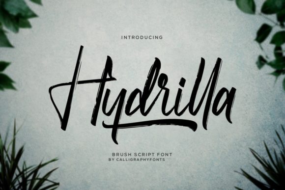 Hydrilla: Elevating Design with Elegant Script Typography