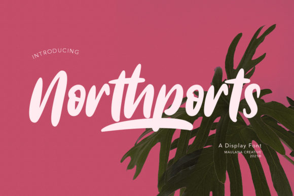 Northports: The Brushed Display Font That Brings Playful Energy to Your Designs