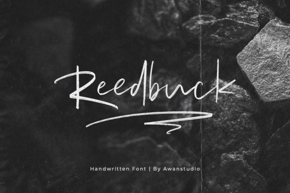 Reedbuck: Elevating Design with Elegant Brushed Script Typography